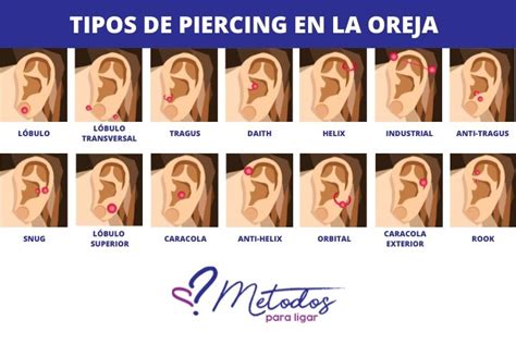 arito en la concha|Tipos de piercing y nombres en la oreja